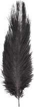 Chaks Pieten struisvogelveer/sierveer - zwart - 55-60 cm - decoratie/hobbymateriaal