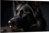 Dibond - Dier - Hond - Zwart - 120x80 cm Foto op Aluminium (Met Ophangsysteem)