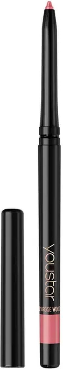 Youstar Lipliner 01 Rose Wood