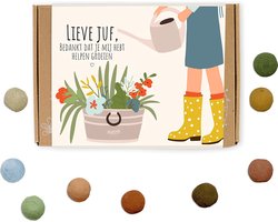 Blossombs Bloembommetjes Giftbox Small - 7 Zaadbommetjes - Lieve Juf - Cadeau