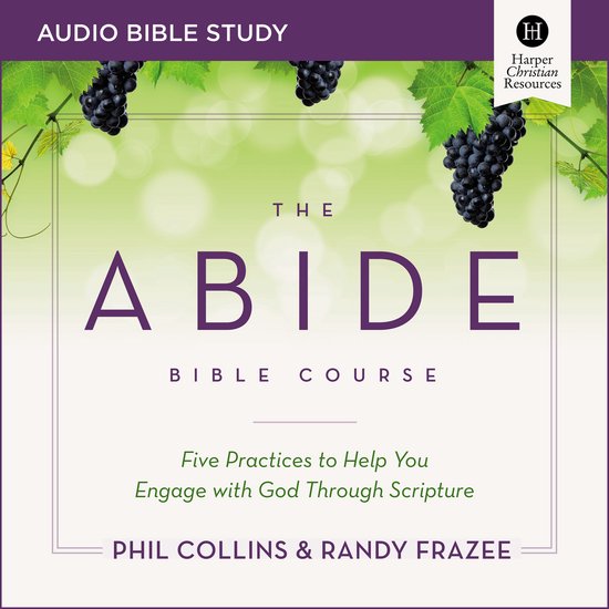 The Abide Bible Course Study: Audio - cover