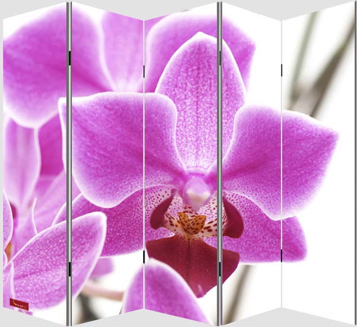 Cosmo Casa Fotokamerverdeler - Privacy Scherm - Orchidee Ontwerp - 180x200cm Veelkleurig