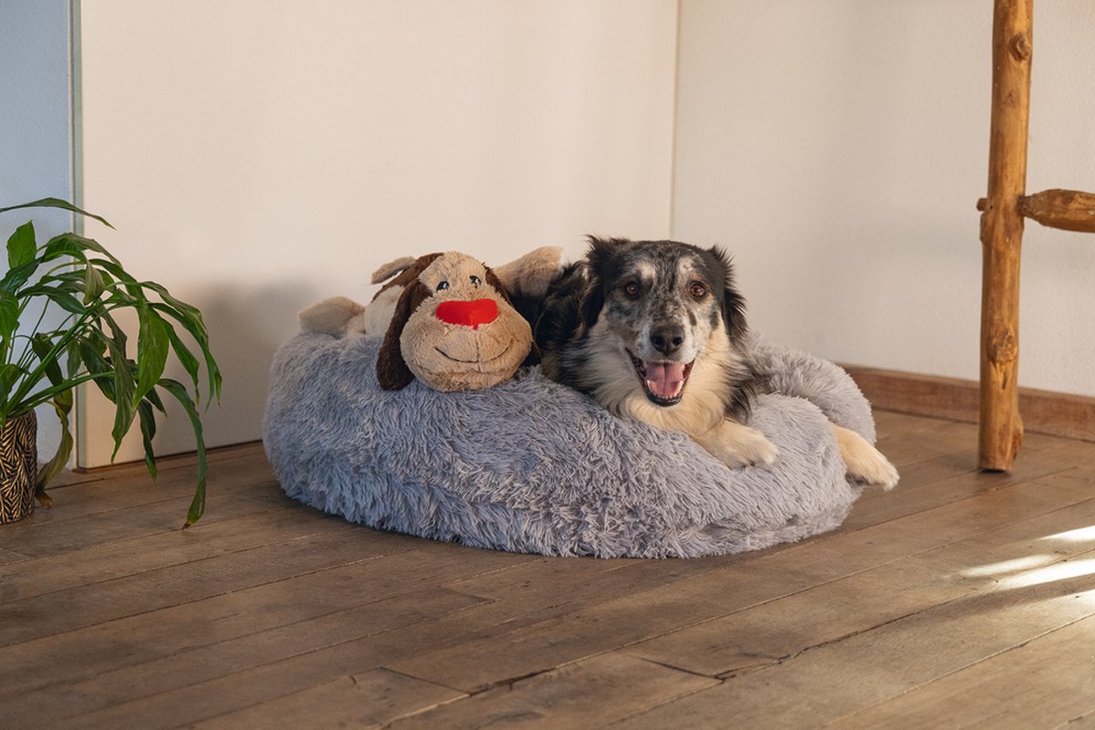 Beeztees XL-honden knuffel Joep - Honden speelgoed - Hondenspeeltjes - Extra groot - Pluche - Beige - 48x46x11 cm thumbnail 3