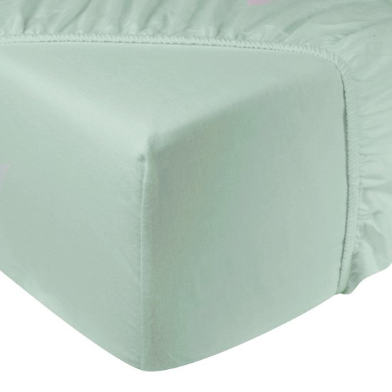 DoubleDry Drap-Housse Flanelle 140x200 cm 2 personne - 100% Coton Doux - Élastique tout autour - Menthe