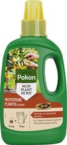 Pokon Bio Mediterrane Planten Voeding - 500ml - Voor Citrus en Mediterrane planten - Olijfboom voeding