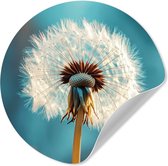 WallCircle® - Papier peint cercle 50x50 cm - Stickers muraux Pissenlit - Nature - Fleurs - Blauw - Cercle mural salon - Cercle mural chambre - Décoration de chambre autocollante - Accessoires de Décoration murale