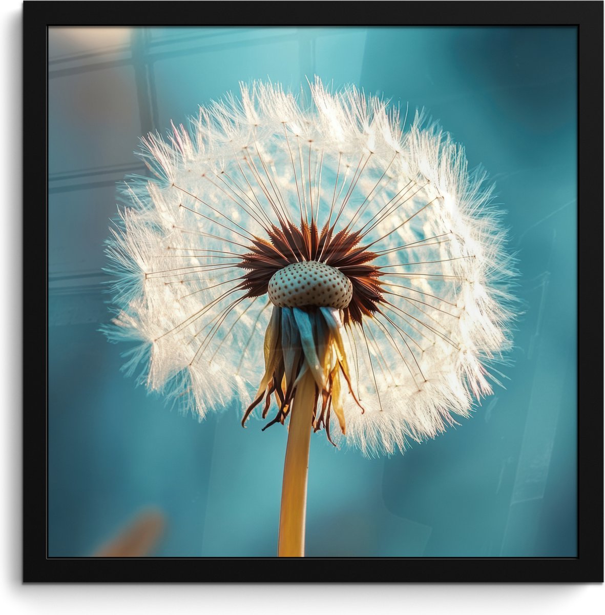 FrameYourWall Poster in lijst - Fotolijst 40x40 cm - Posters - Paardenbloem - Natuur - Bloemen - Blauw - Posterlijst zwart - Decoratie - Wanddecoratie woonkamer - Muurdecoratie slaapkamer