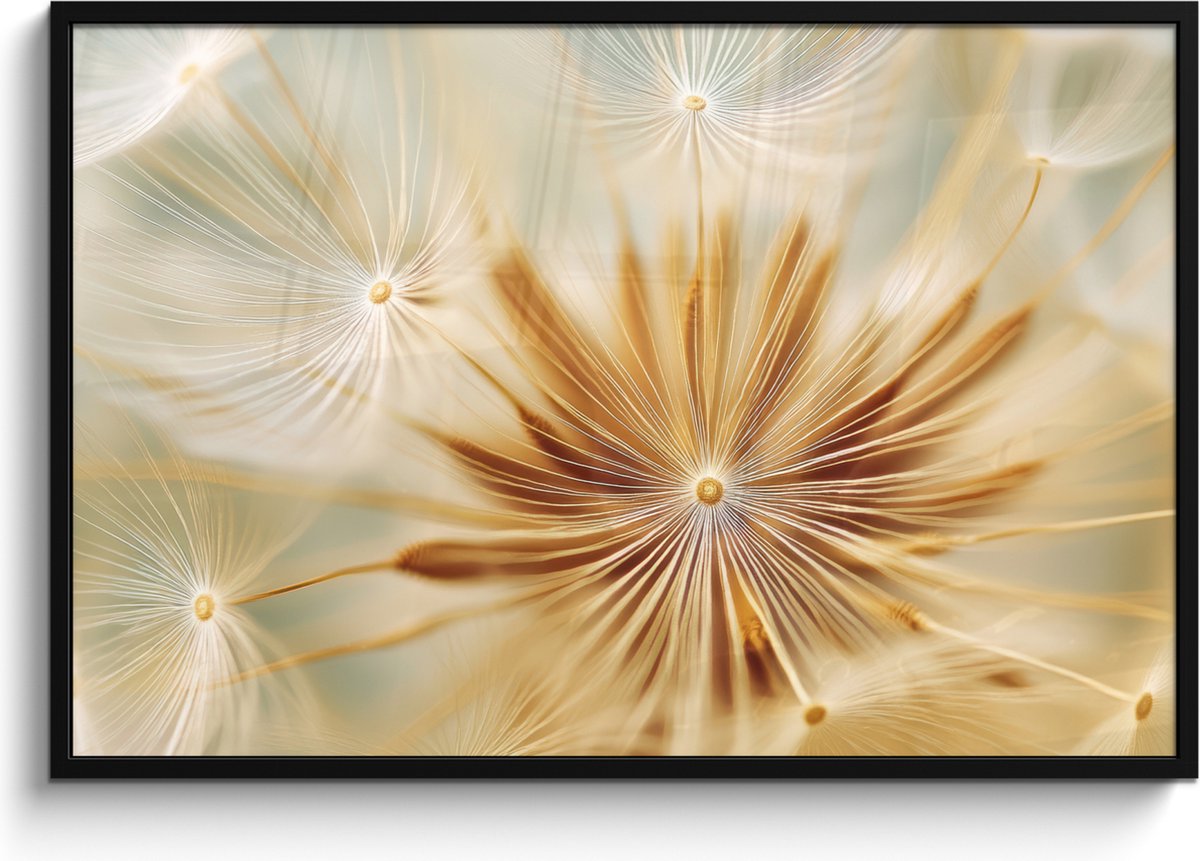 FrameYourWall Poster in lijst - Fotolijst 120x80 cm - Posters - Paardenbloem - Beige - Abstract - Modern - Natuur - Posterlijst zwart - Decoratie - Wanddecoratie woonkamer - Muurdecoratie slaapkamer Paardenbloem - Abstract