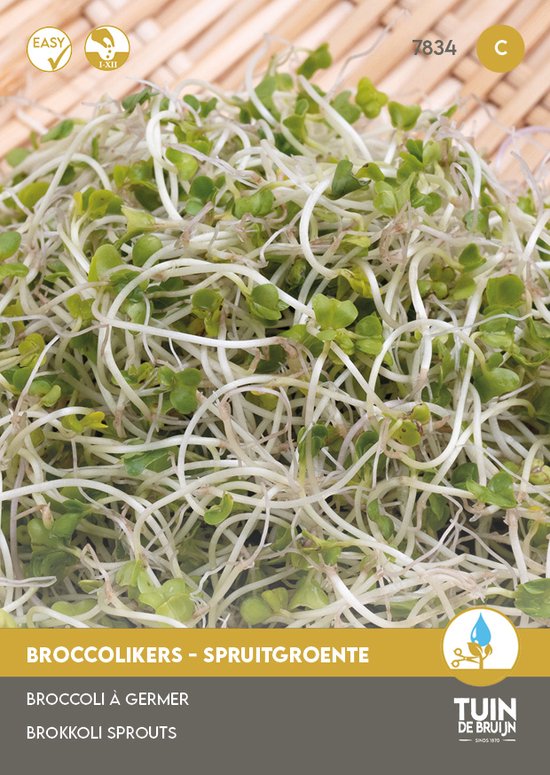 Broccolikers Zaden – Spruitgroente / Kiemgroente – Broccoli Sprouts – ±20 Gram – Rijk aan Vitamines – Snel Kiemend – Voor Gezonde Salades, Smoothies en Sandwiches - Tuin de Bruijn® zaden