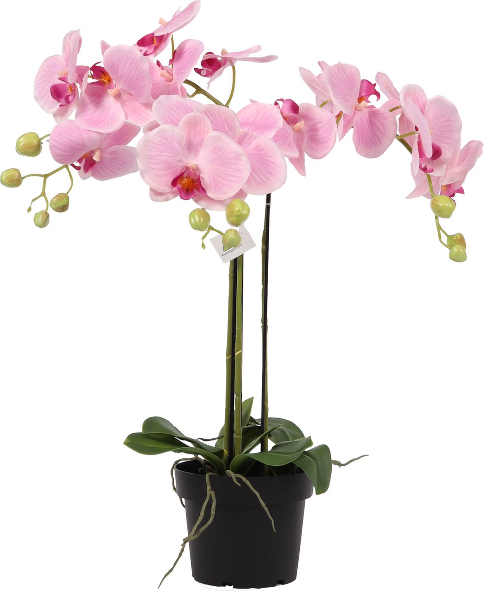 Kunstpalm Kunst Orchideeplant Roze – 65 cm – Real Touch Bloemen – In Zwarte Pot – Kunst orchidee