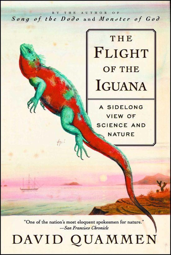 Flight Of The Iguana