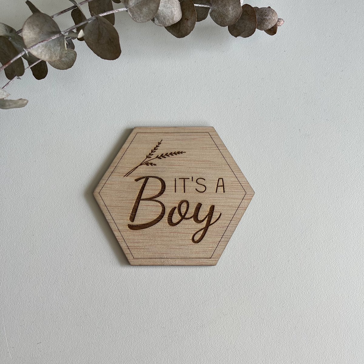 Goedkoopste Zwangerschapsaankondiging - It's a boy