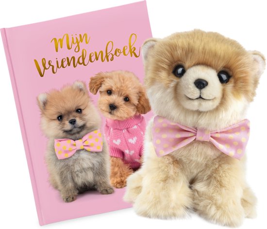 Studio Pets Livre d'amis Puppy + peluche Pompon de Poméranie 23 cm