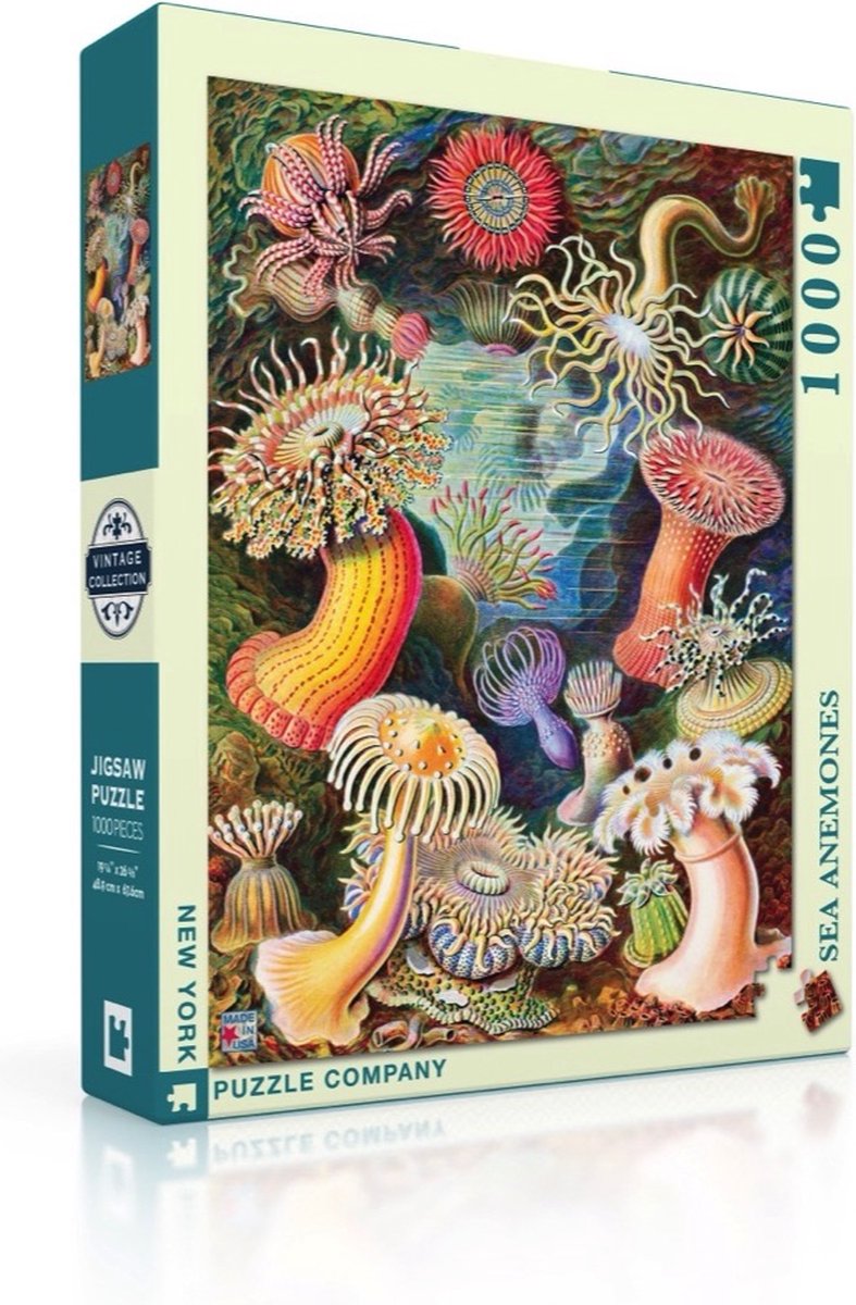 New York Puzzle Company - Vintage Images Sea Anemones - 1000 stukjes puzzel