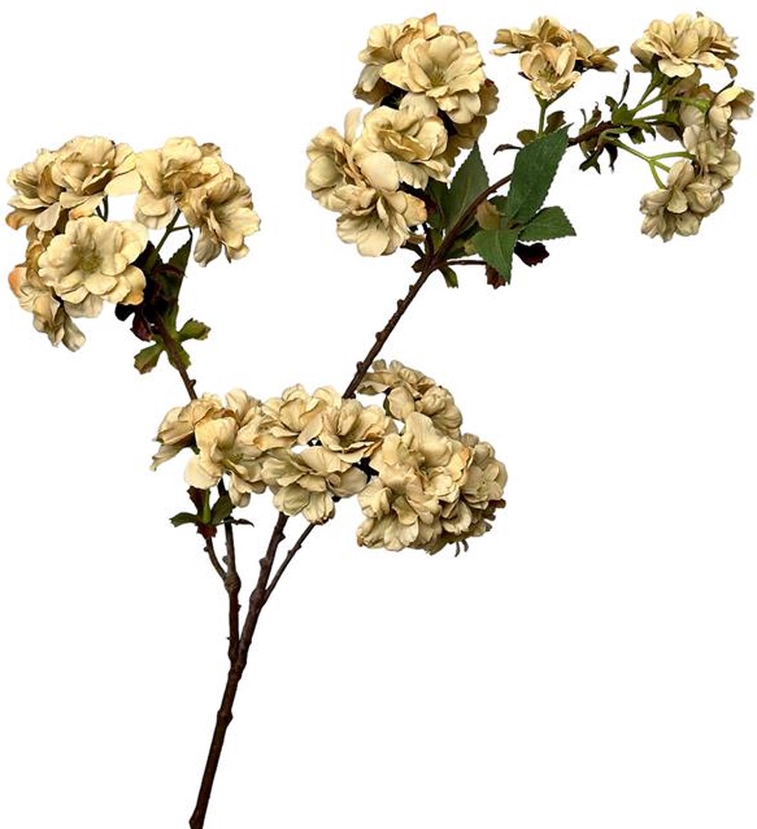 Kunstbloem Bloesem tak 80cm creme