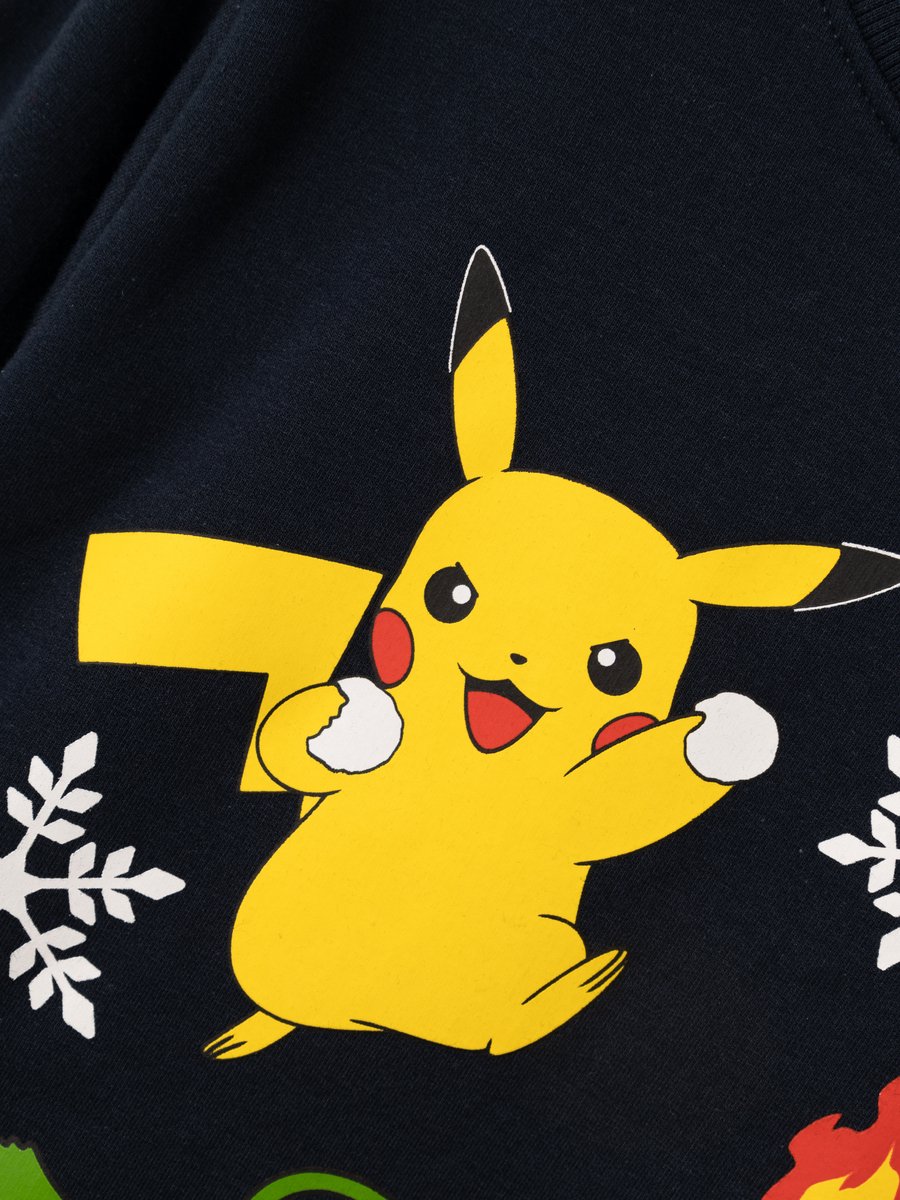 NAME IT NKMOLEF POKEMON SWEAT BRU BFU Jongens Trui - Maat 116