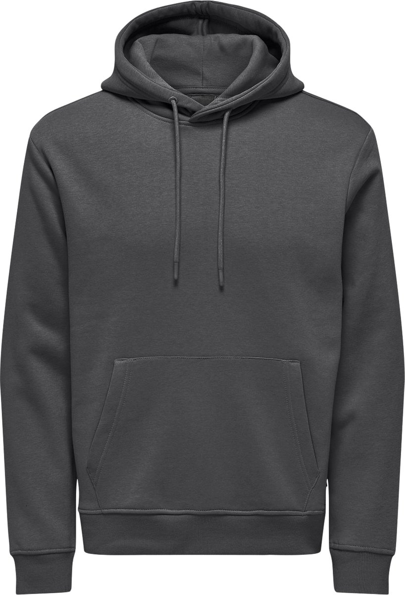 ONLY&SONS - ONSCONNOR LIFE REG SWEAT HOODIE NOOS - Heren - Sweaters