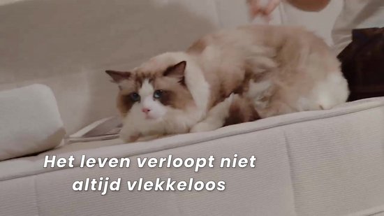 Draadloze Auto Stofzuiger Draagbare Met Handheld Stofzuiger Auto Huishoudelijke Tweeërlei