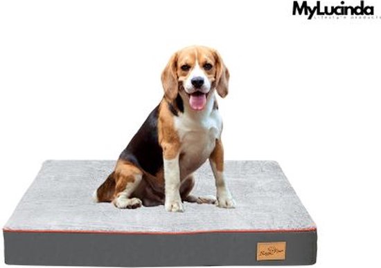 TrendPet