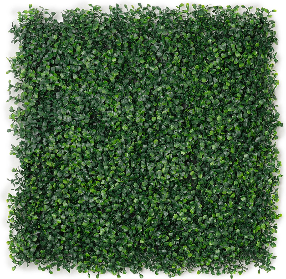 Kunsthaag plantenwand - Planten muur - Voor binnen en buiten - Buxus Romeinse stijl - 50 x
