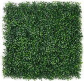 Mur végétal haie artificielle - Mur Plantes - Pour intérieur et extérieur - Buxus style romain - 50 x 50 cm