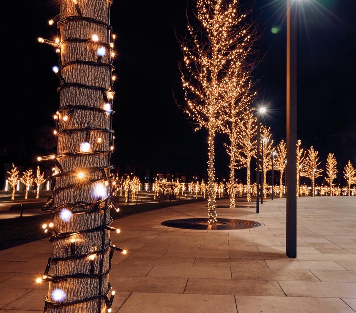 Koppelverlichting Connect De Luxe 100Led Flash Warm White 10M 31Vol...