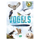 Natuuronderzoekers - Natuuronderzoekers Vogels