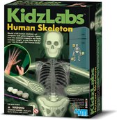 4M - KidzLabs - Menselijk skelet