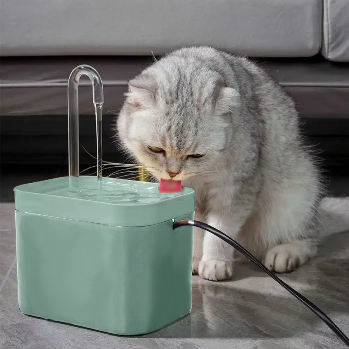 Boncy® Drinkfontein filter - 2 Stuks Filters voor Luxe Drinkfontein Kat & Hond 1,5L - Hoge Kwaliteit Drinkfonteinen Vervangfilters - Kattenfontein Drinkfonteinfilter thumbnail 3
