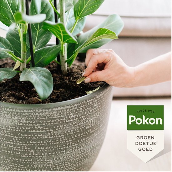 Pokon Bio Kuur voor Weerbare en Gezonde Kamerplanten - Capsules - 12 stuks - Geschikt voor alle kamer-, buitenplanten en moestuin
