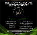 Lijst met symptomen van voedselallergie bij katten, waaronder jeuk en roodheid.
