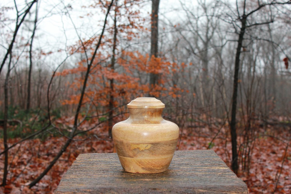 Mangohouten urn de veluwe