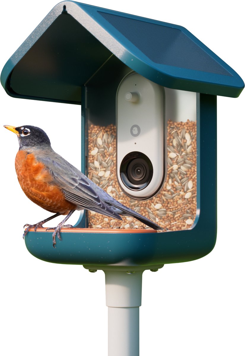Bird Buddy Smart vogelvoederhuisje met zonnedak L 16 x B 17,5 x H 23 cm Vogel