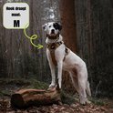 Witte hond met zwarte vlekken draagt een beige hondentuig maat M. Hond staat in een bos.