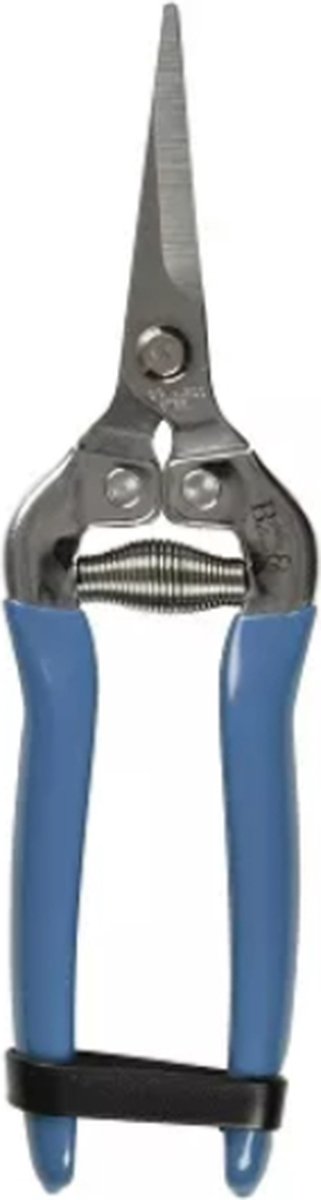Burgon & Ball Blauwe Dunschaar