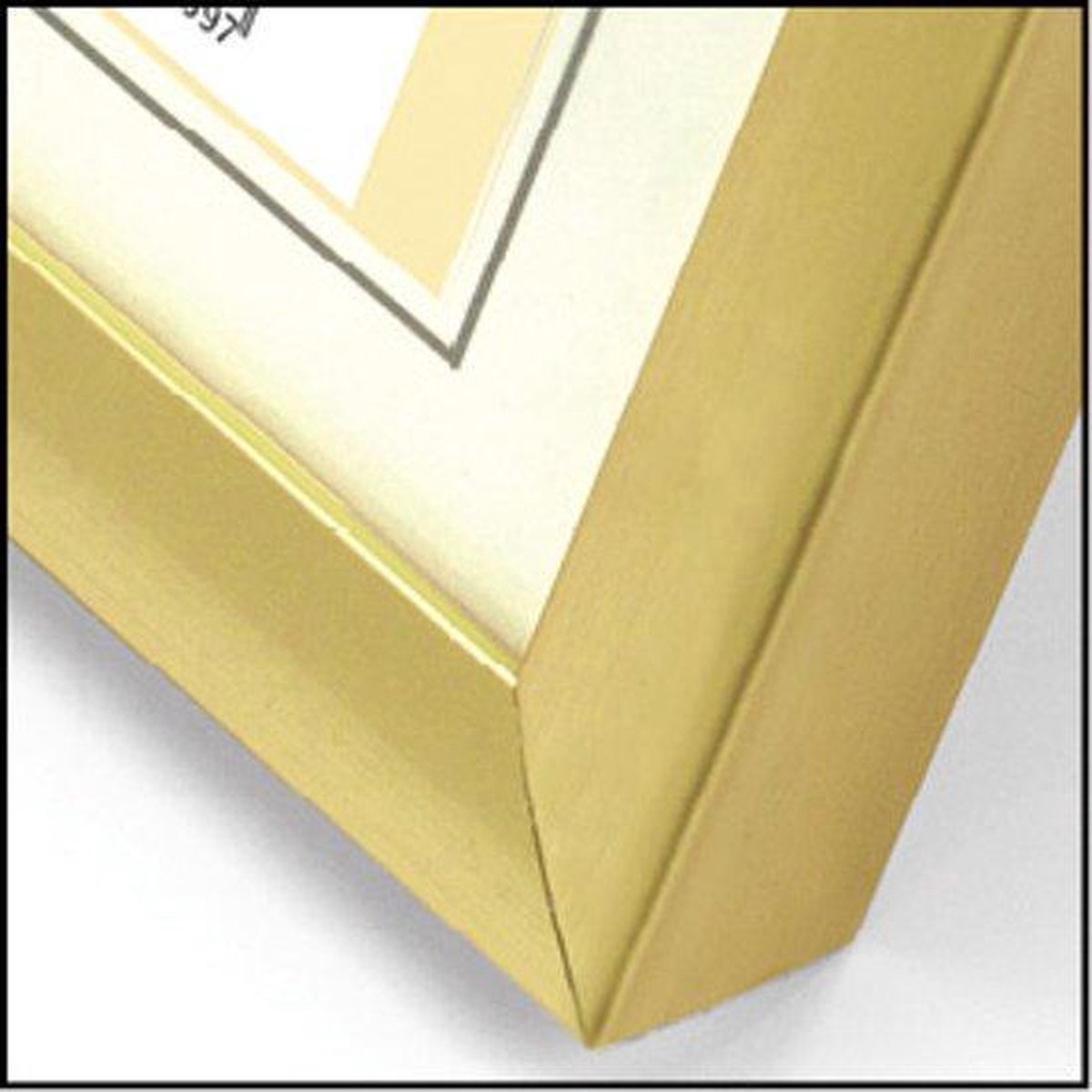 Zep New Easy goud 30x40 kunststof lijst KG5