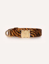 Collar Zebra Dogguo - Collier pour chien - Ø26 cm Noir Zwart L