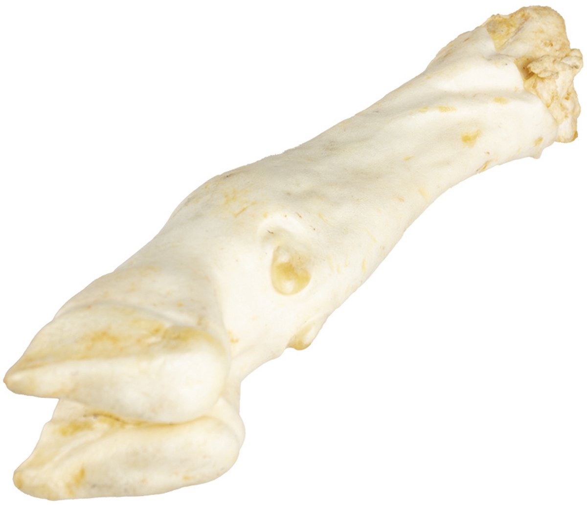 Duvoplus - Hondensnack - Hond - Farmz Lamspoot 4st - 4st
