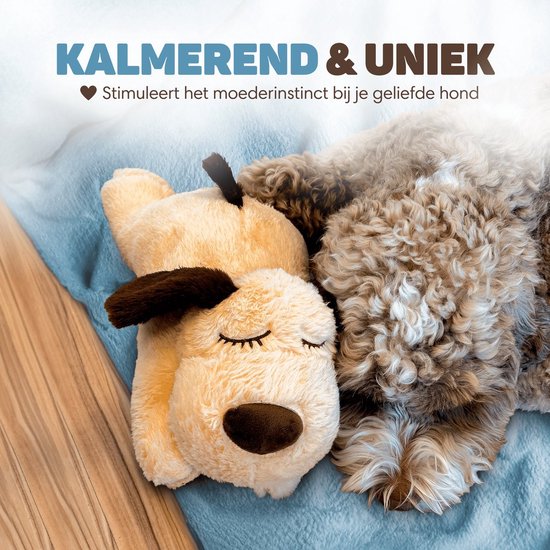 Anti-stress eend voor honden, hondenspeelgoed, anti-stress-eend voor