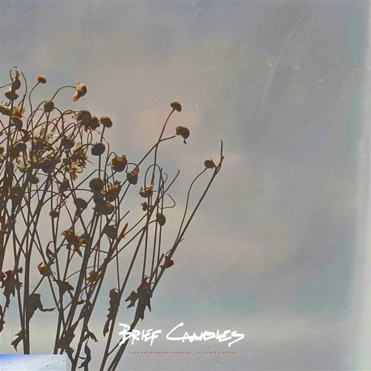Brief Candles - Unfinished Nature (LP)