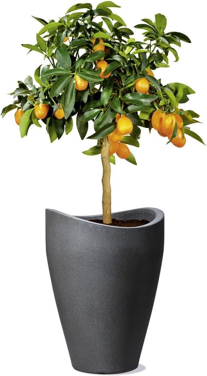 Wave Globe High Plantenbak - kunststof - zwart-graniet - 1 stuk - 29,8 cm diameter