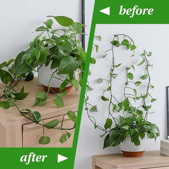 Duokon 100 Stks Plastic Mini Stalks Ondersteuning Clip Bloemen Planten Groenten Wijnstok Tuin Bescherm Stem Groeien Rechtopstaande Clips voor Orchidee Stammen Wijnstokken Stalks