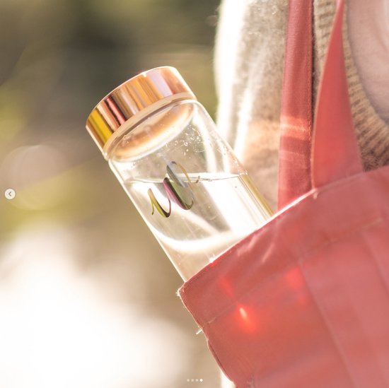 Glazen fles met koperkleurige dop, gevuld met water en rozenkwarts, in een roze tas.