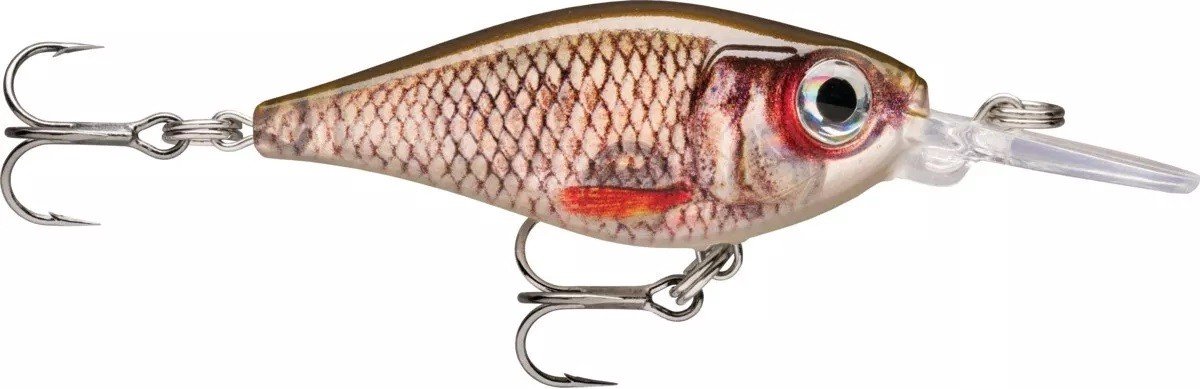 Rapala X-Light Shad 04 Live Roach - ROL