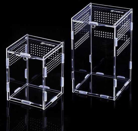 100x50x50cm Luxe Terrarium - Creëer de Perfecte Leefomgeving voor Reptielen en Amfibieën