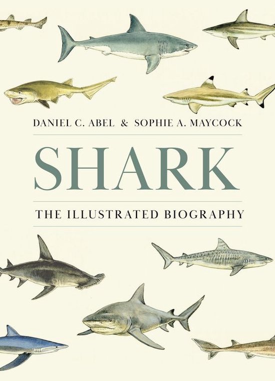Shark - cover