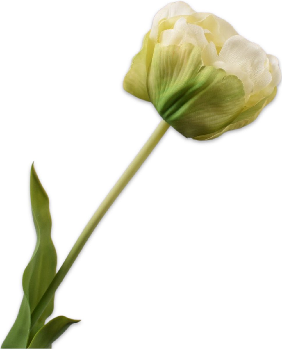 Silk-ka kunstbloemen en planten ⋆ Löwik Wonen & Slapen