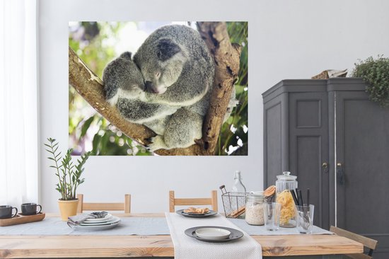 Cuddling koala mother and joey Poster 180x120 cm - Tirage photo sur Poster (décoration murale salon / chambre) / Poster Animaux XXL / Groot format!