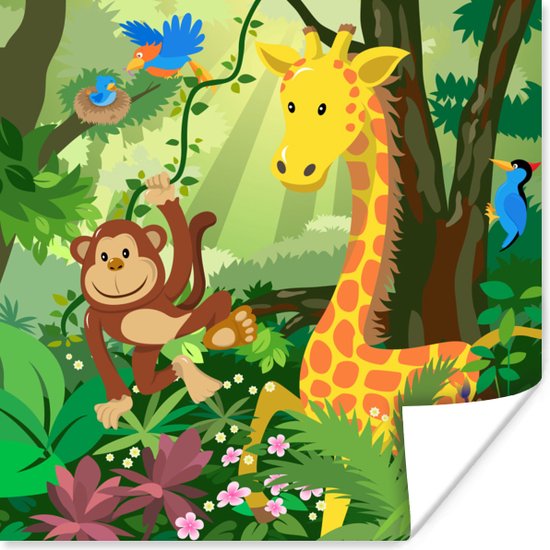 Affiche animaux jungle  Animaux de la jungle, Dessin jungle