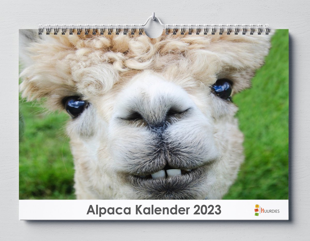 Alpaca kalender 2023 | 35x24 cm | jaarkalender 2023 | Wandkalender 2023